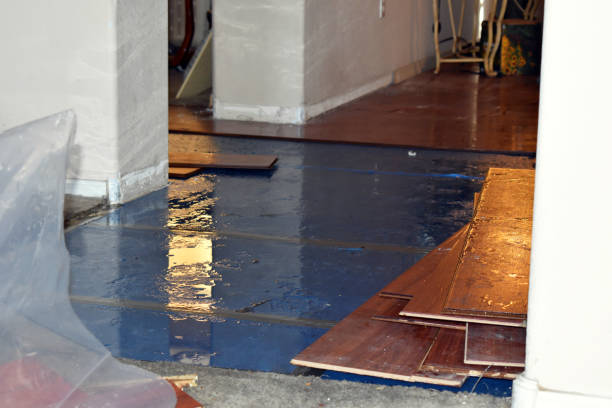 Professional Water Damage Restoration technician working in Kittredge, CO